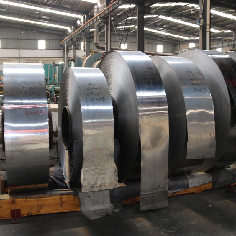 Stainless Steel Strip
