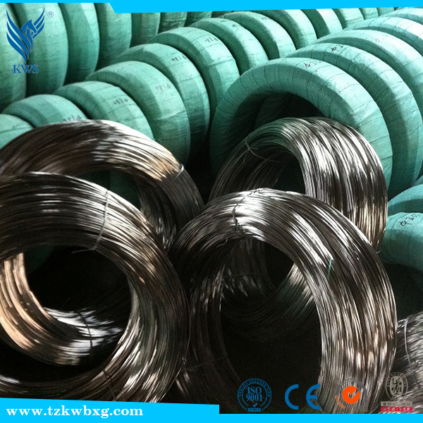 Stainless Iron Wire