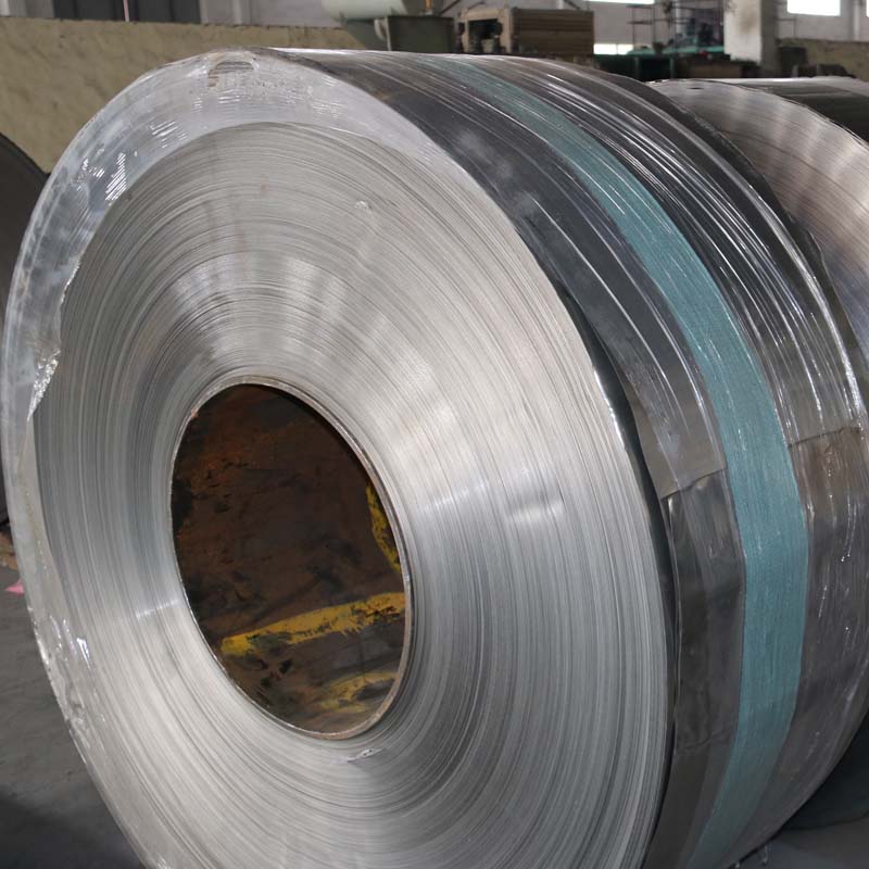 Stainless Steel Strip